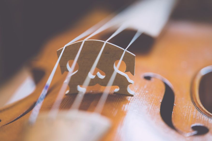 Foto: Unsplash